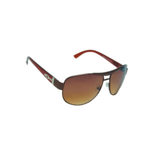 Ainak Brown Ace Sunglasses