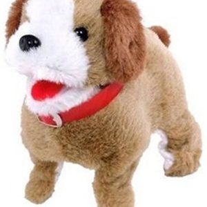 Coco Brown Shiro Flip Dog