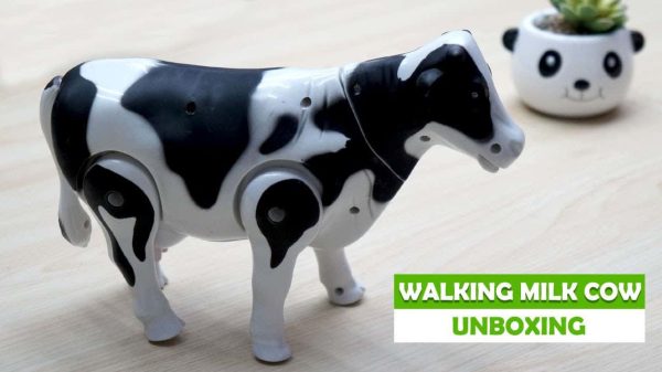 Walking Milk Cow