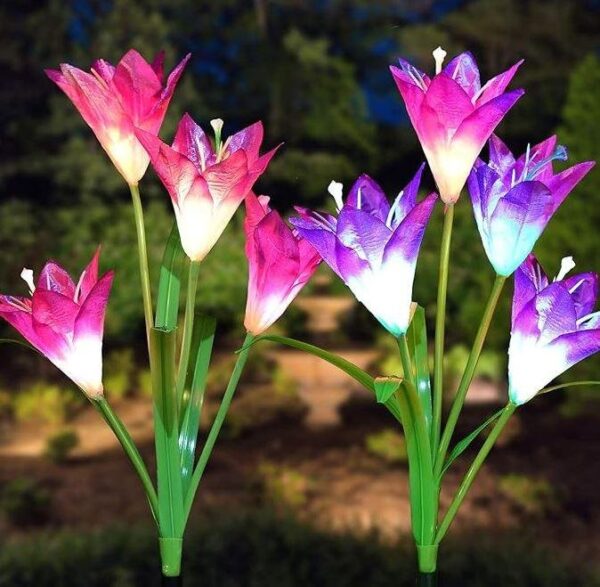 Solar Lily Garden Light Light (Pack of 2)