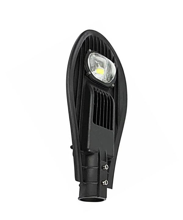 Dolphin Street Light 30W